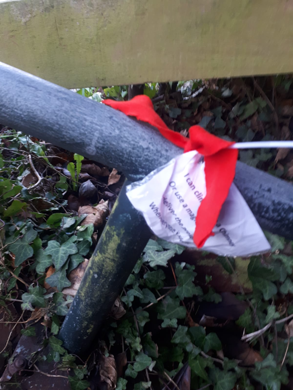 Festive Family Red Ribbon Run - Stour Striders Running Club